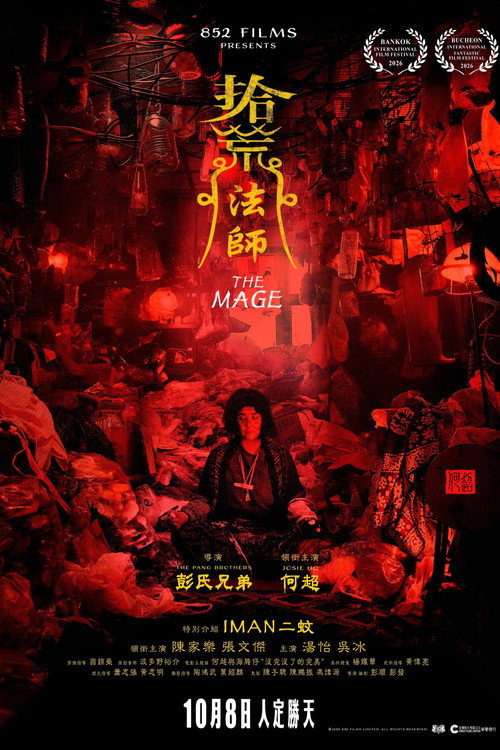 The Mage movie poster